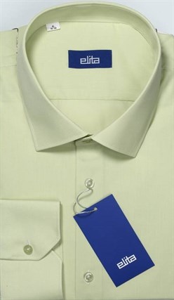 Однотонная мужская рубашка ELITA 68412-55 - фото 12390