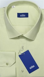 Однотонная мужская рубашка ELITA 68412-55